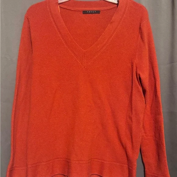 Cyrus V-Neck Sweater in Burnt Orange - Picture 3 of 4